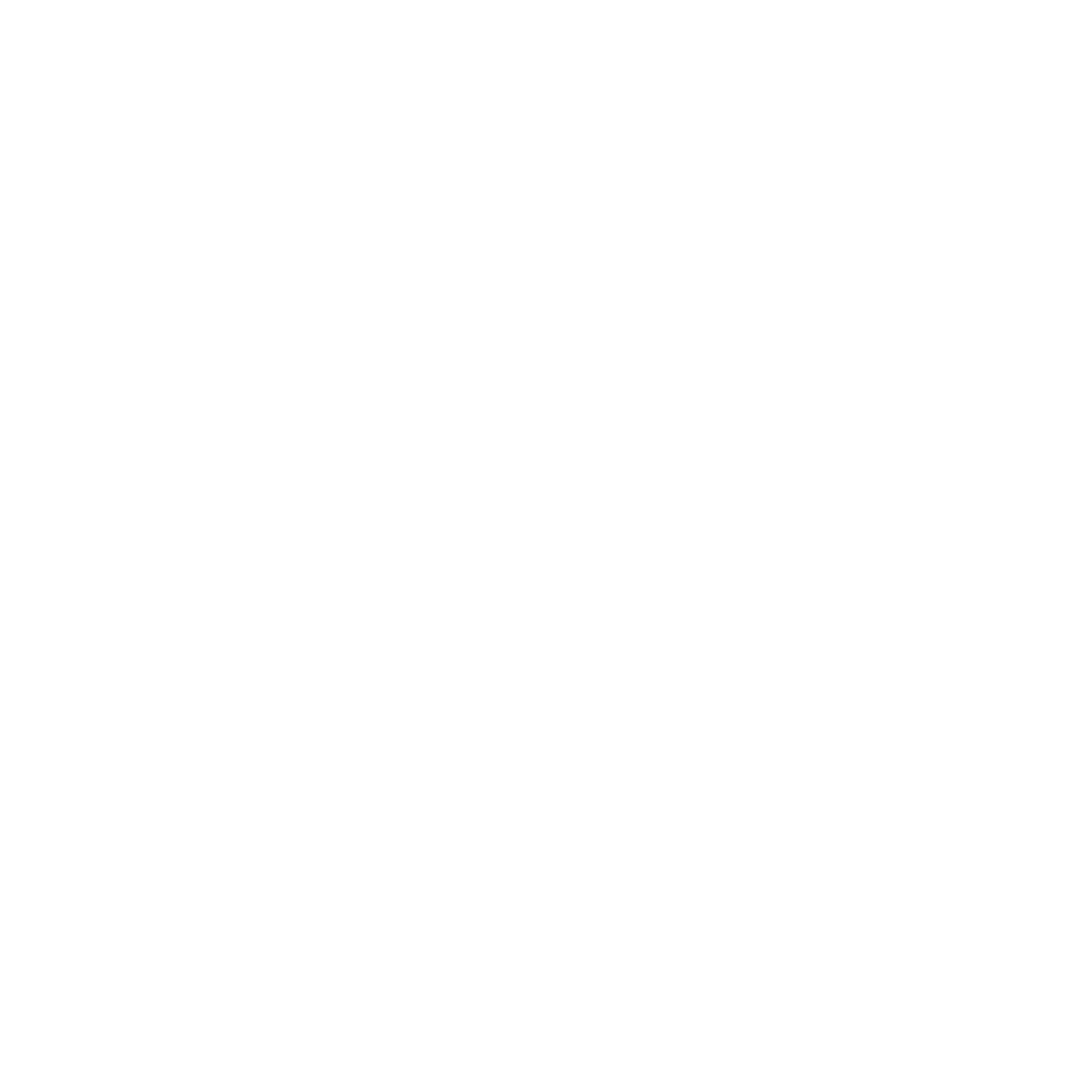icon_camera